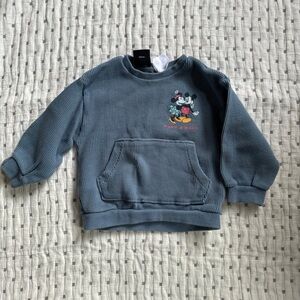 Zara Toddler Sweatshirt